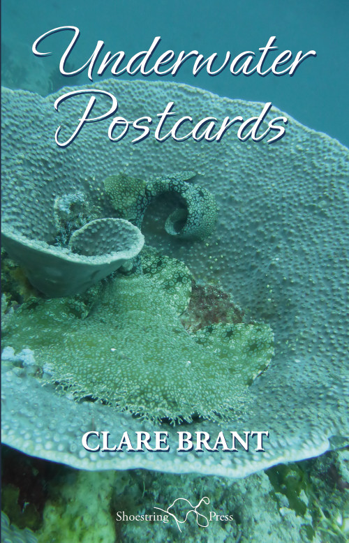 Cover for Underwater Postcards